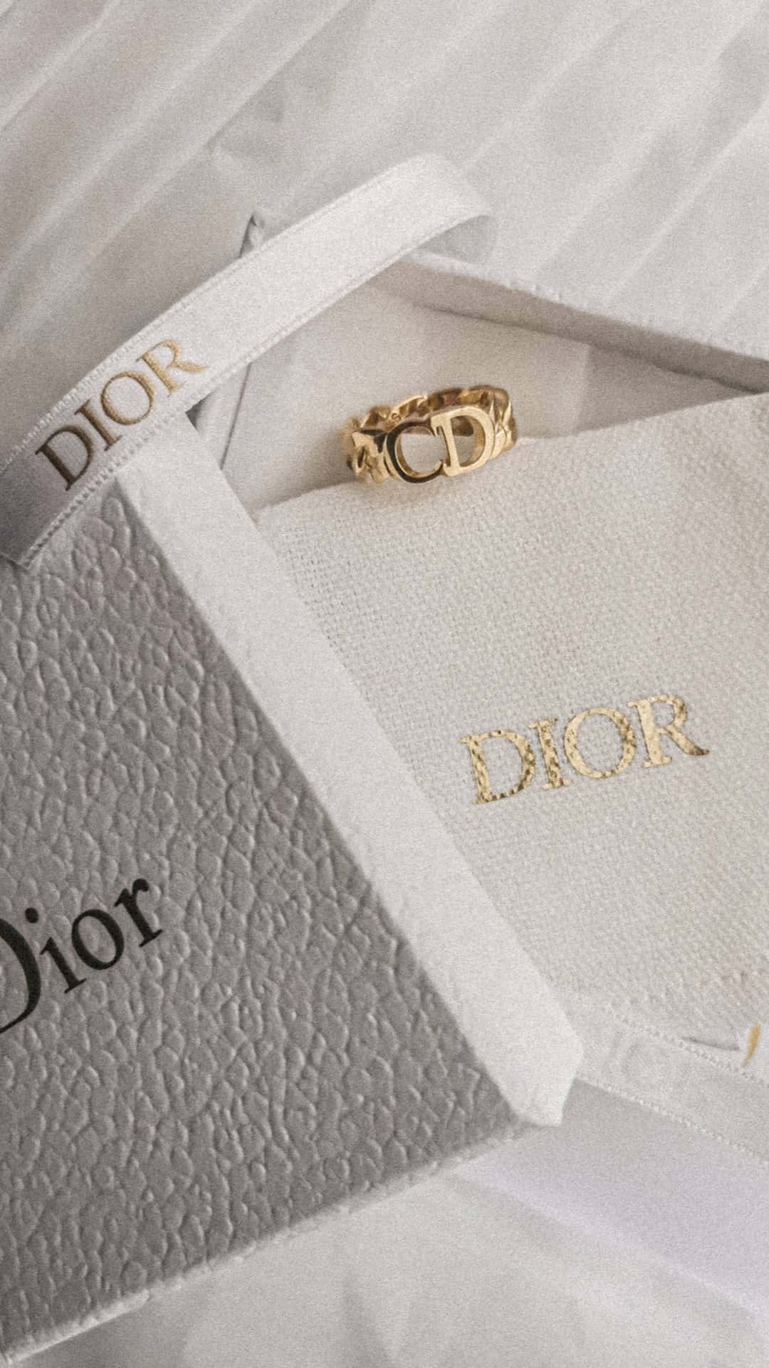 Dior Branded Accessoriesand Jewelry