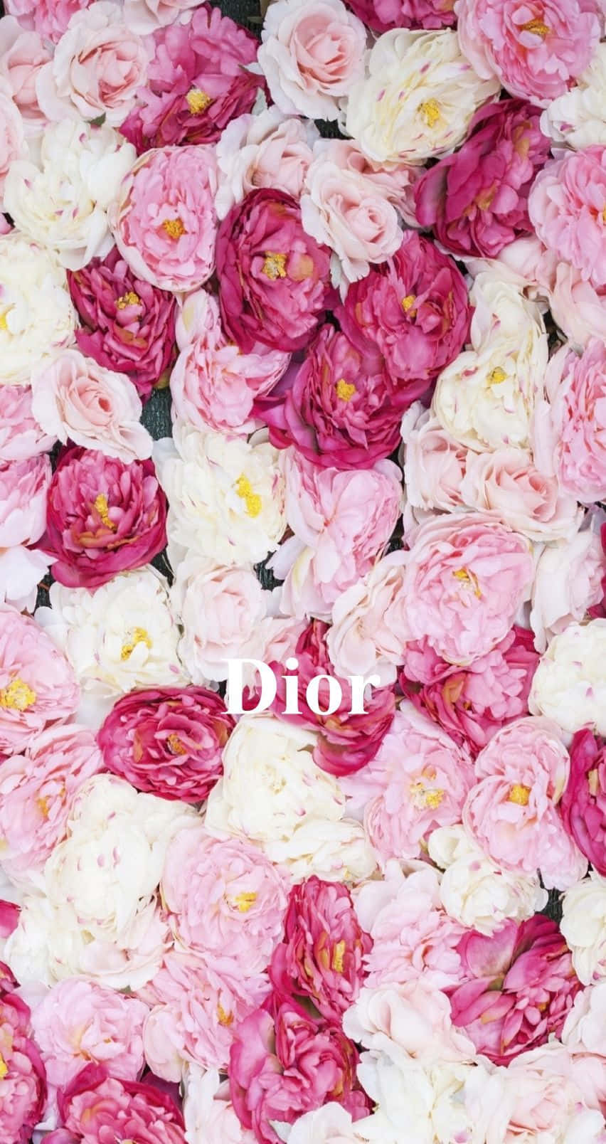 Dior Logo Floral Backdrop Background
