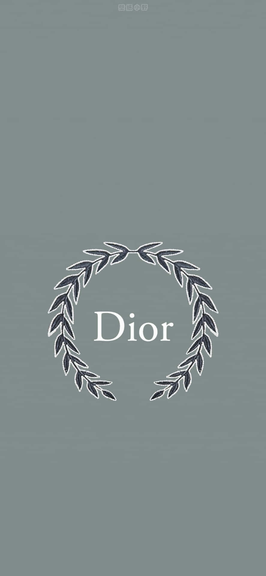 Dior Logowith Laurel Wreath Background