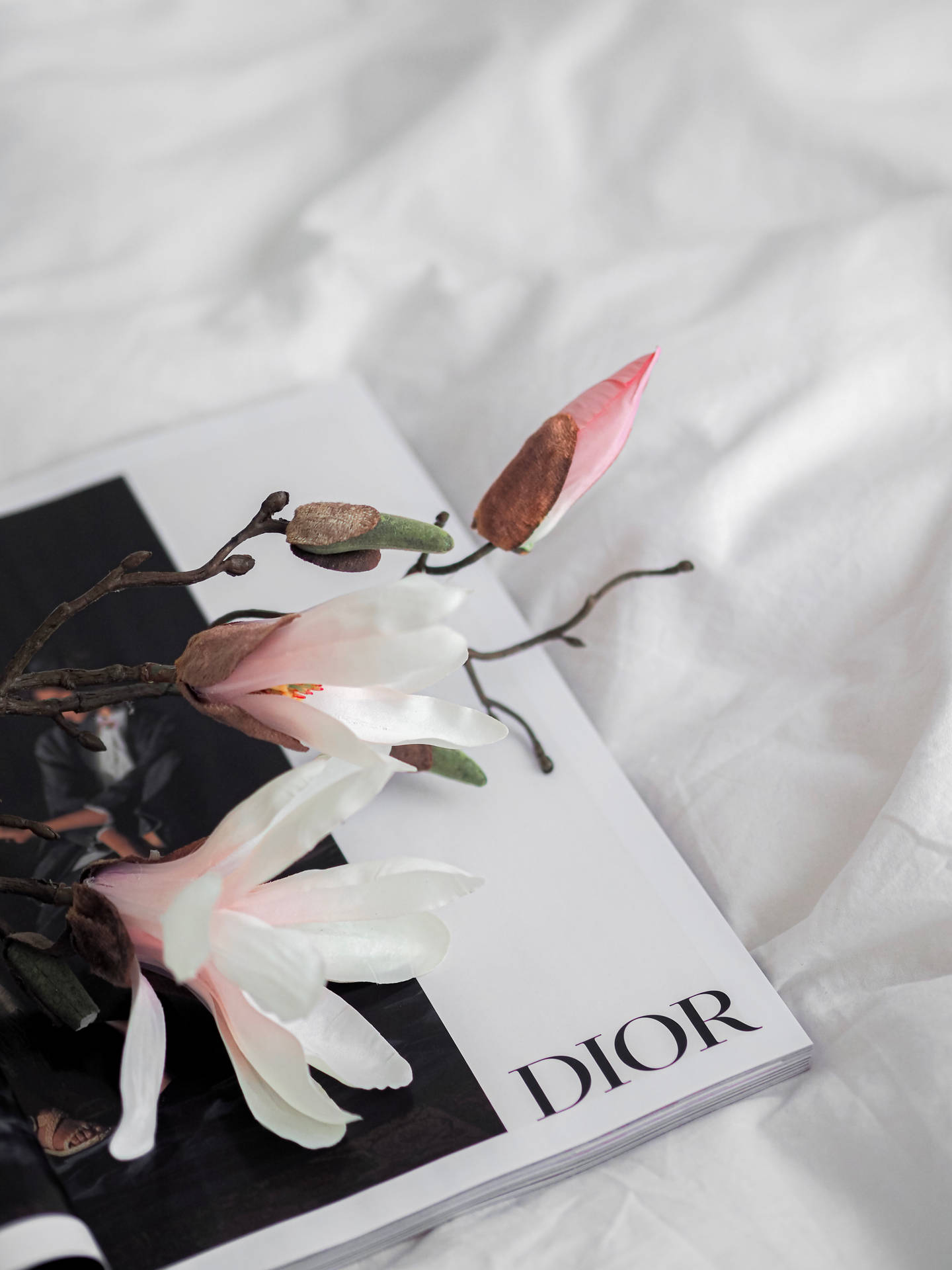 Dior Magnolia Flower Background
