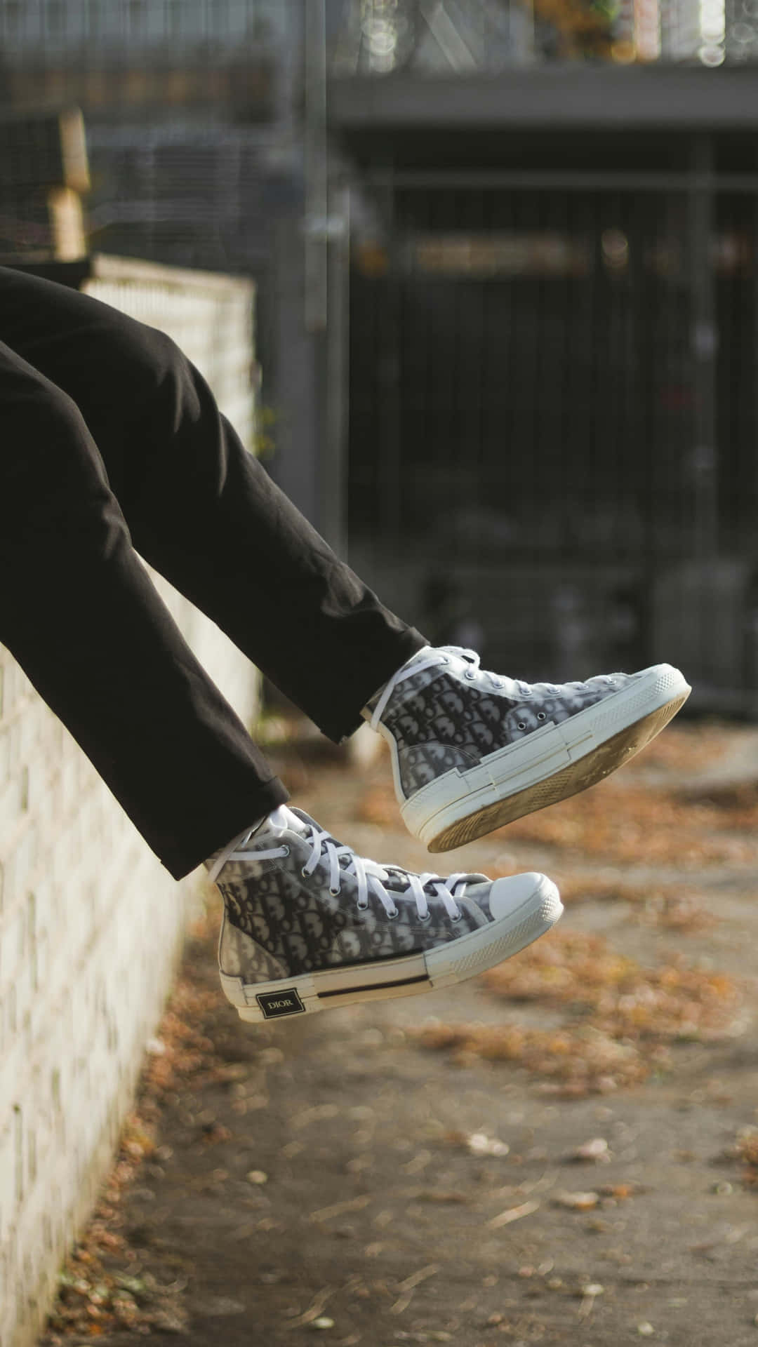 Dior Patterned High Top Sneakers