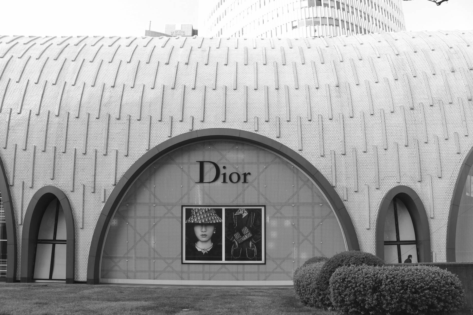 Dior Store Grey Scale Background