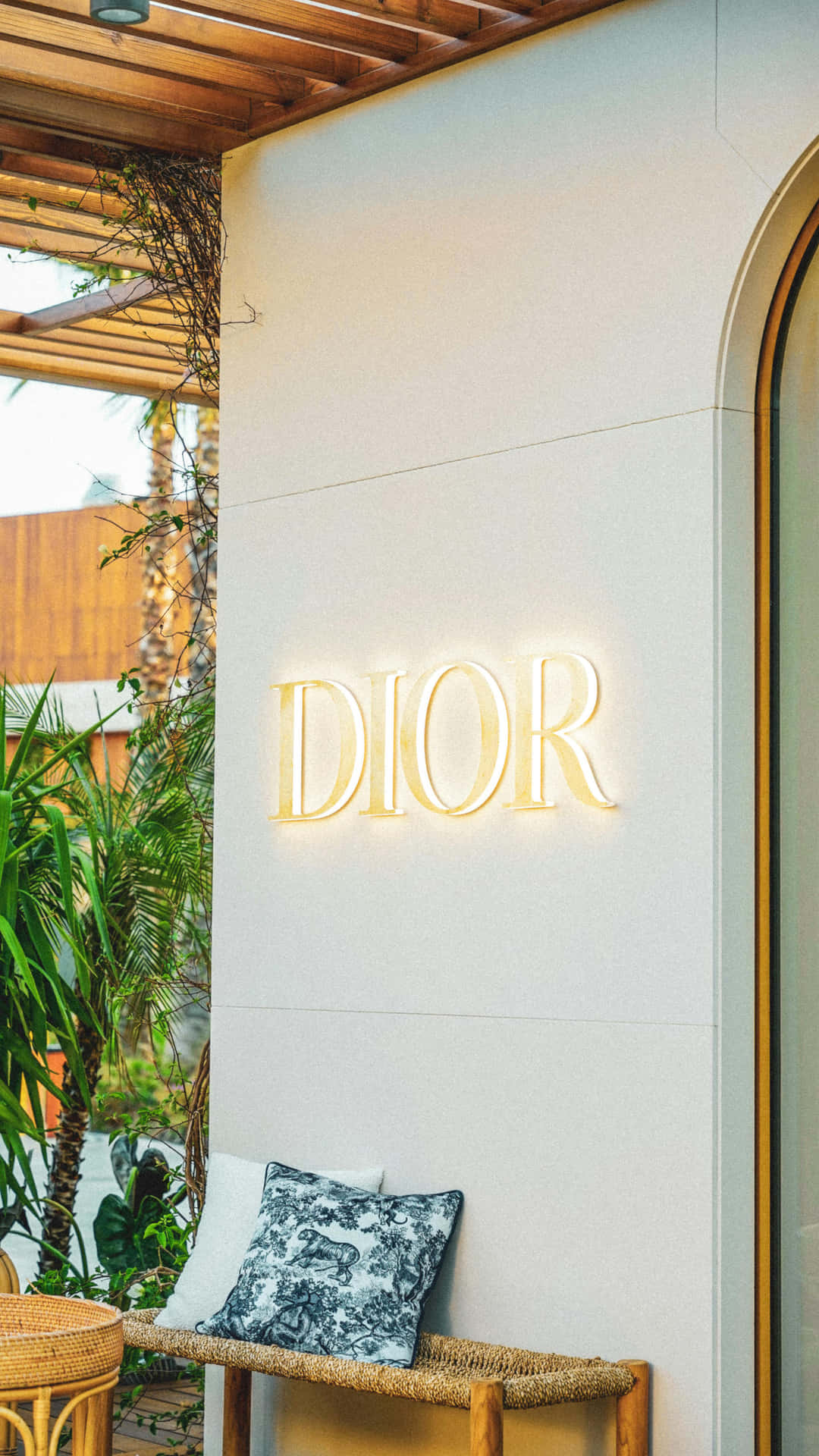 Dior Storefront Signage Background