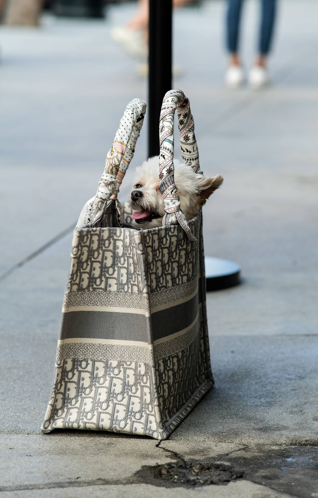 Dior Tote Bag With Puppy
