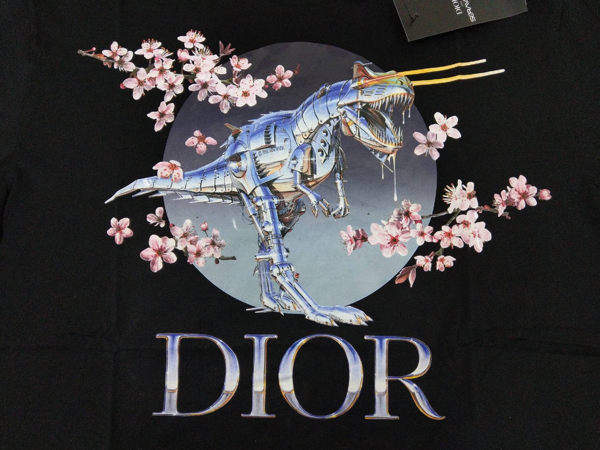 Dior X Sorayama Dinosaur