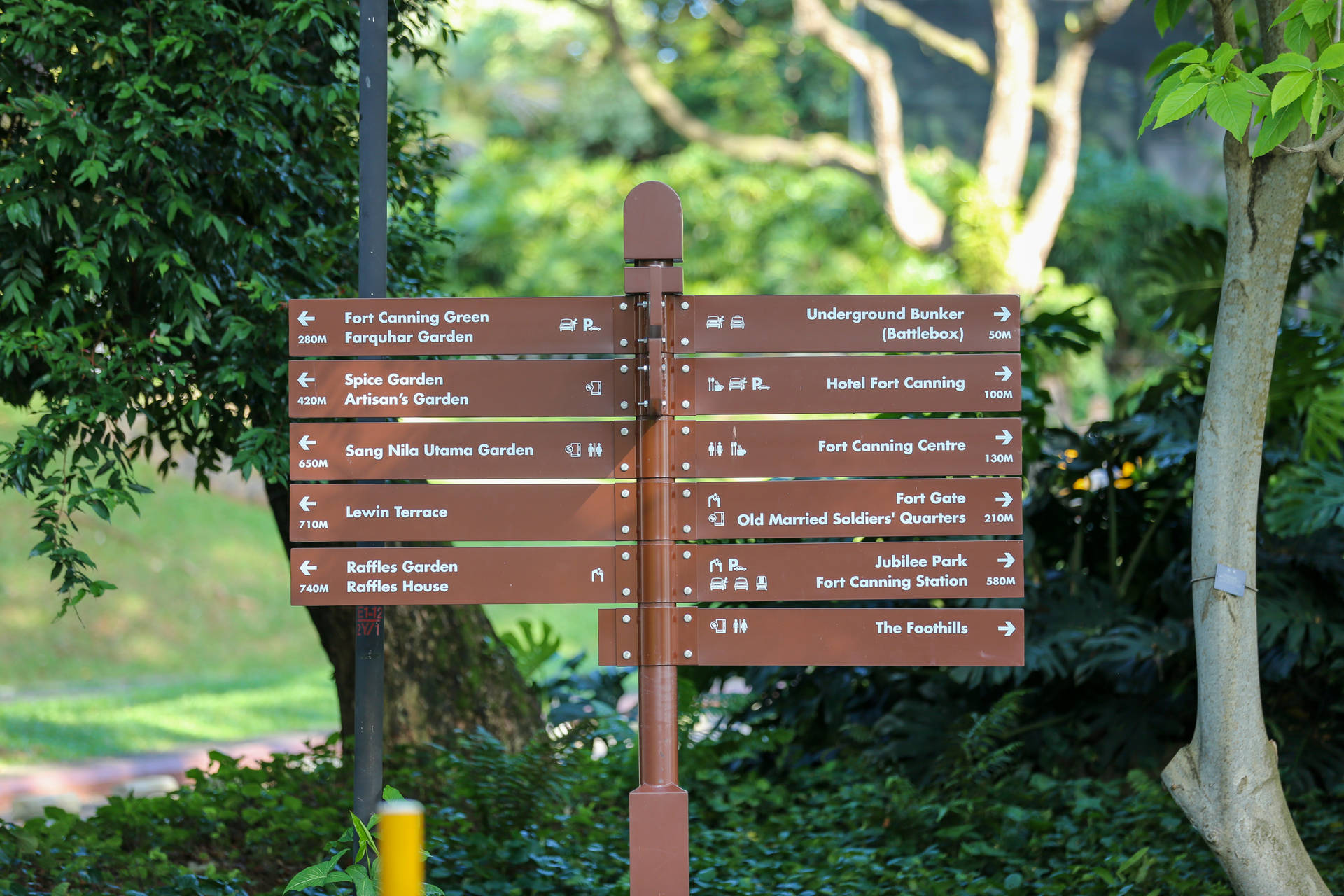 Directional Park Signage Background