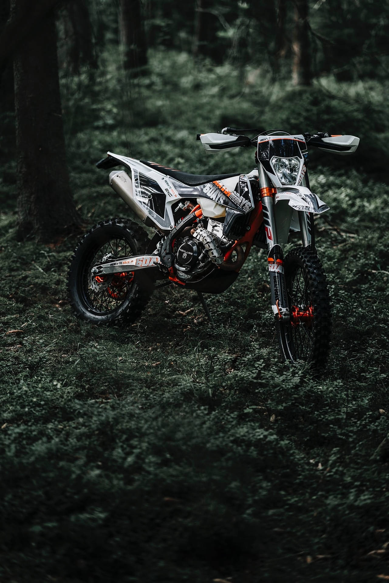 Dirt Bike In The Forest Background