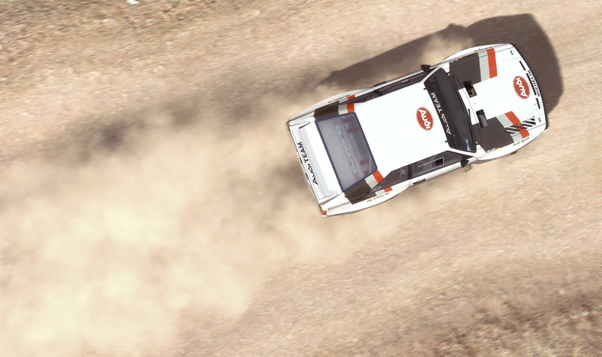 Dirt Rally Audi In Dirt Road