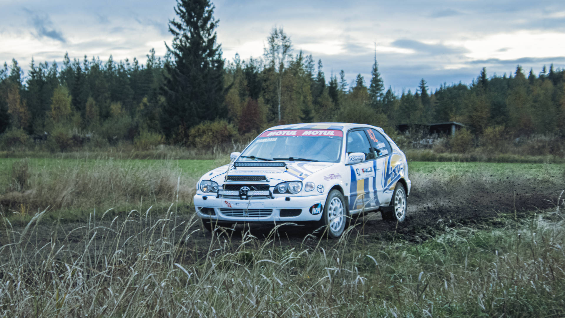 Dirt Rally Toyota Corolla Wrc