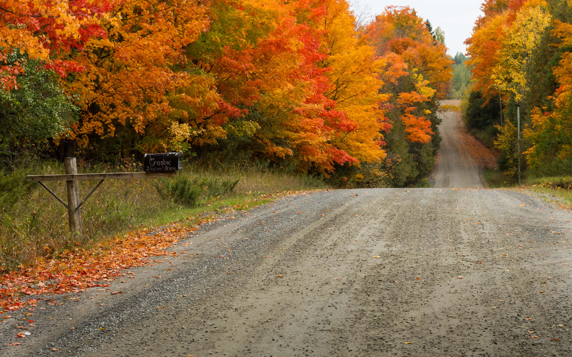 Dirt Road During Early Fall Background