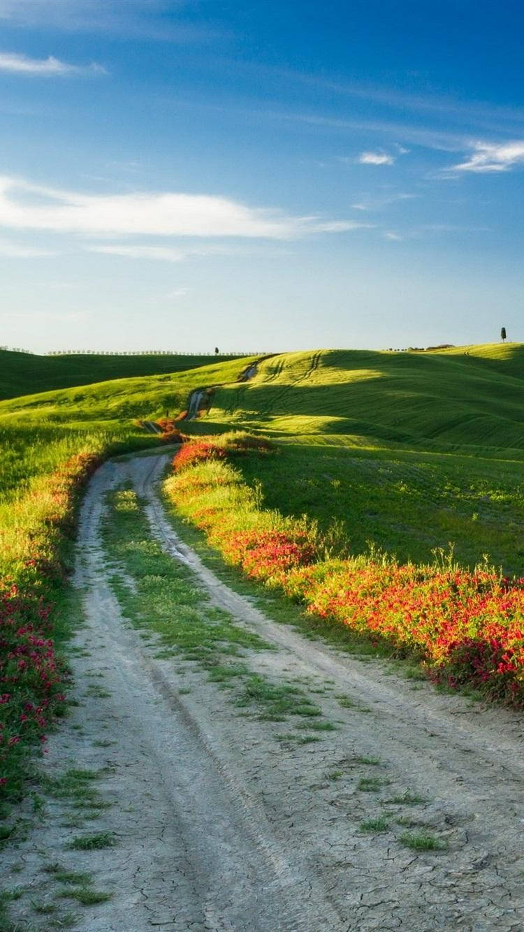 Dirt Road In Tuscany Italy Background