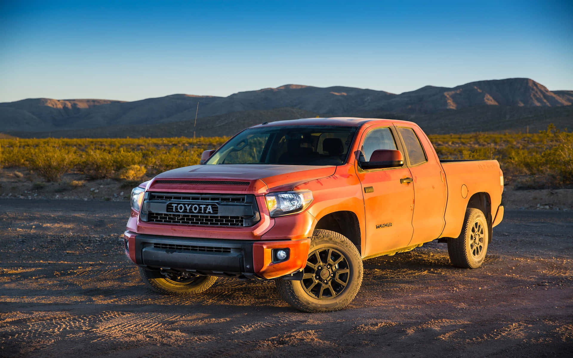 Dirty Orange Tundra Background