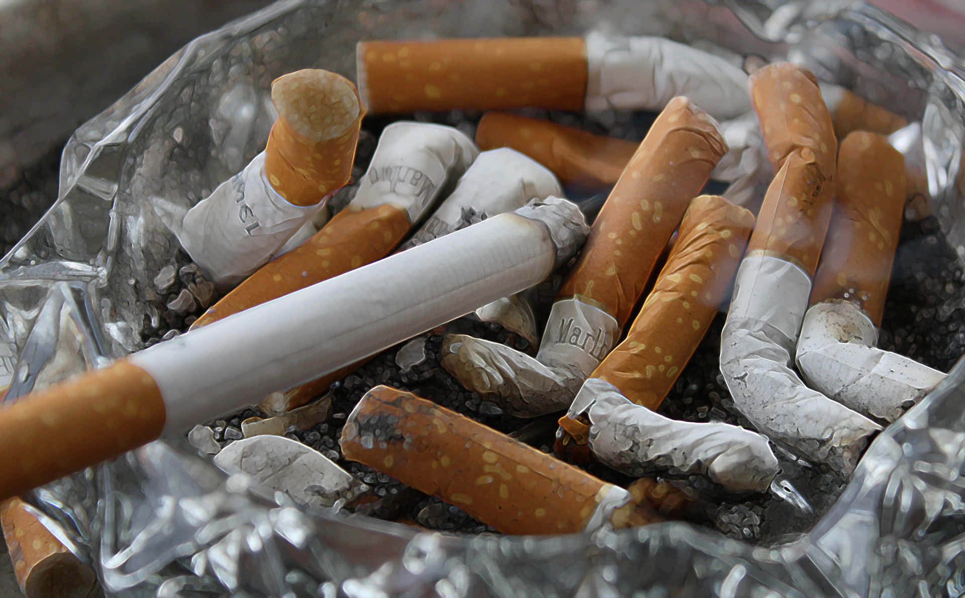 Discarded Cigarette Butts Background