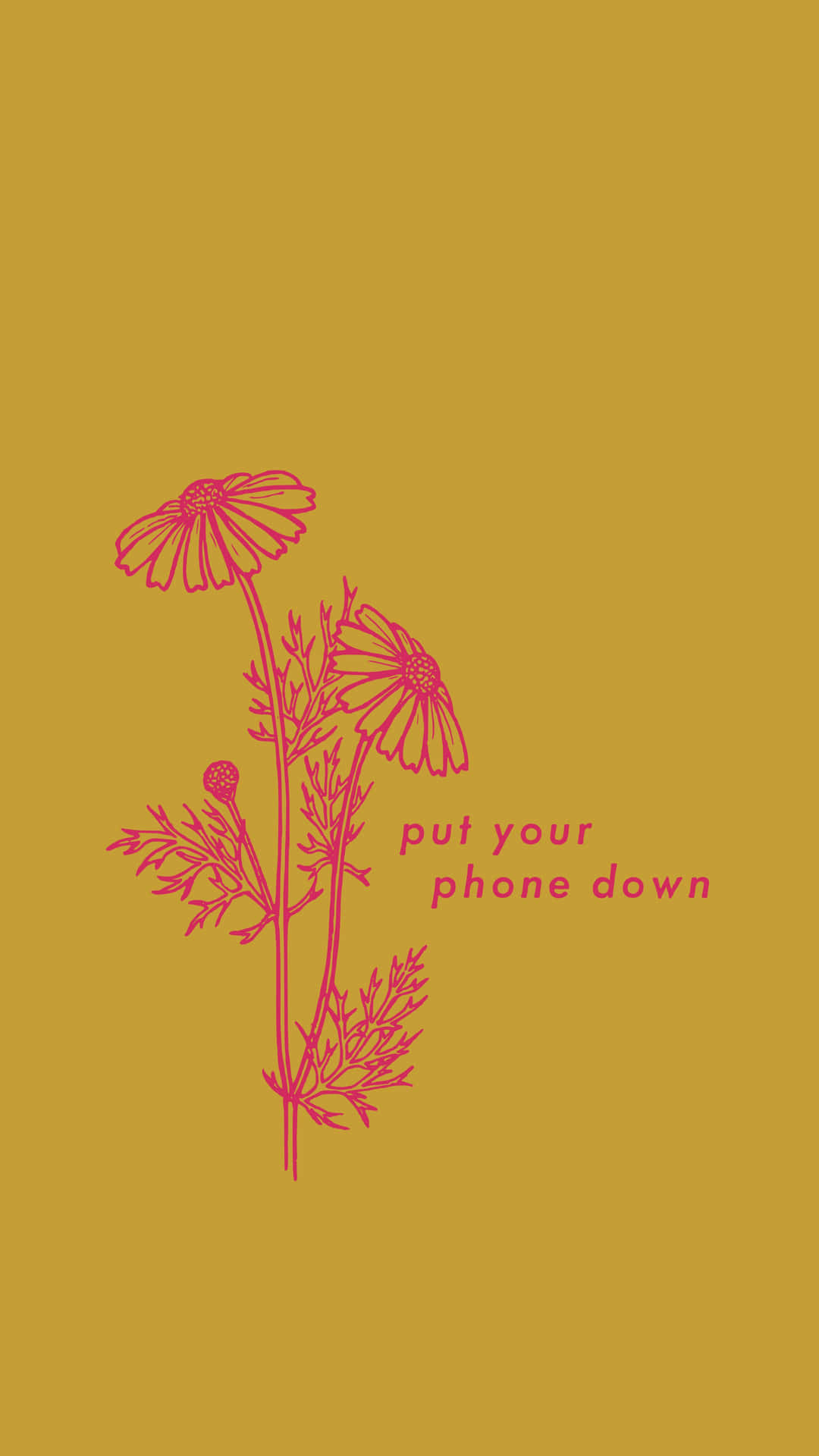 Disconnect And Find Your Peace Background