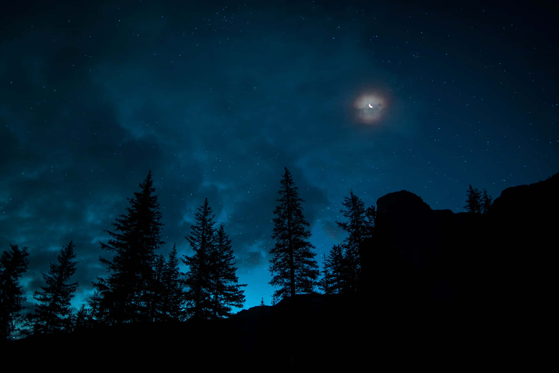 Discover A Magical Wonderland In The Night Forest Background