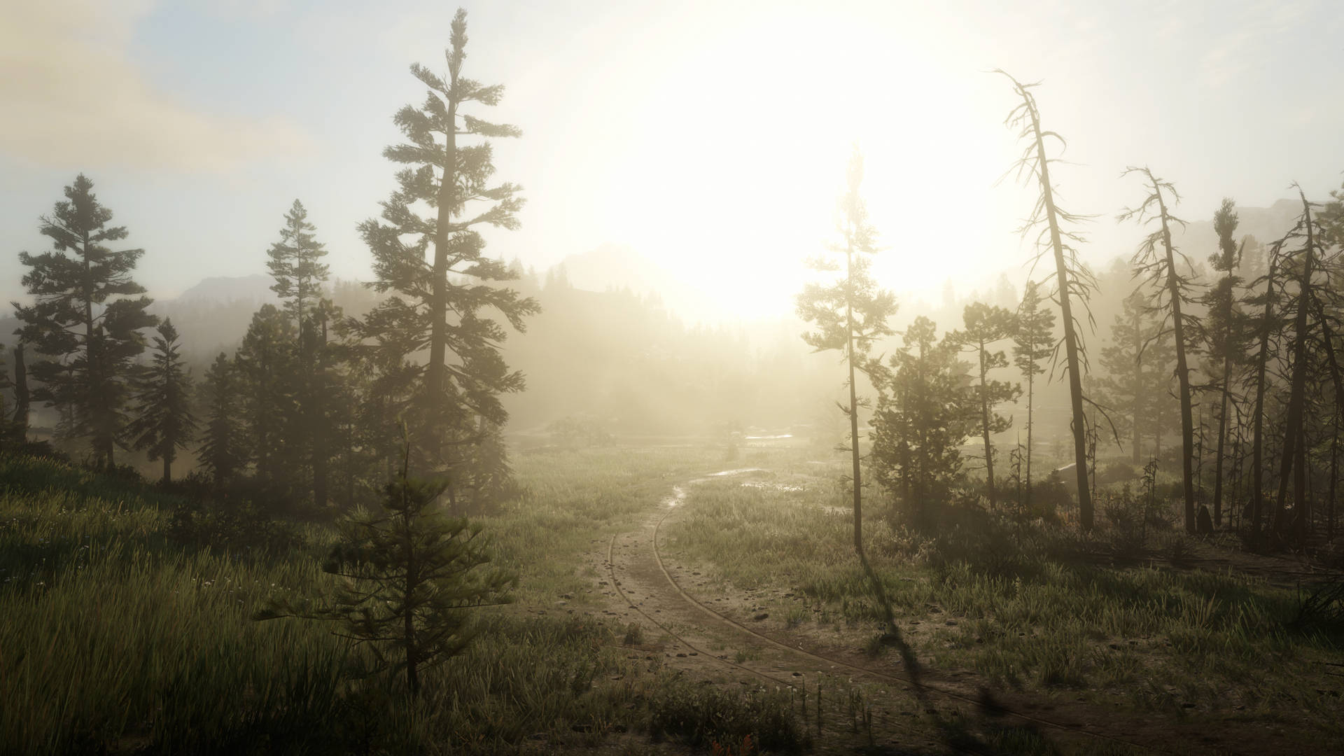 Discover A World Of Adventure In Red Dead Redemtion 2 Background