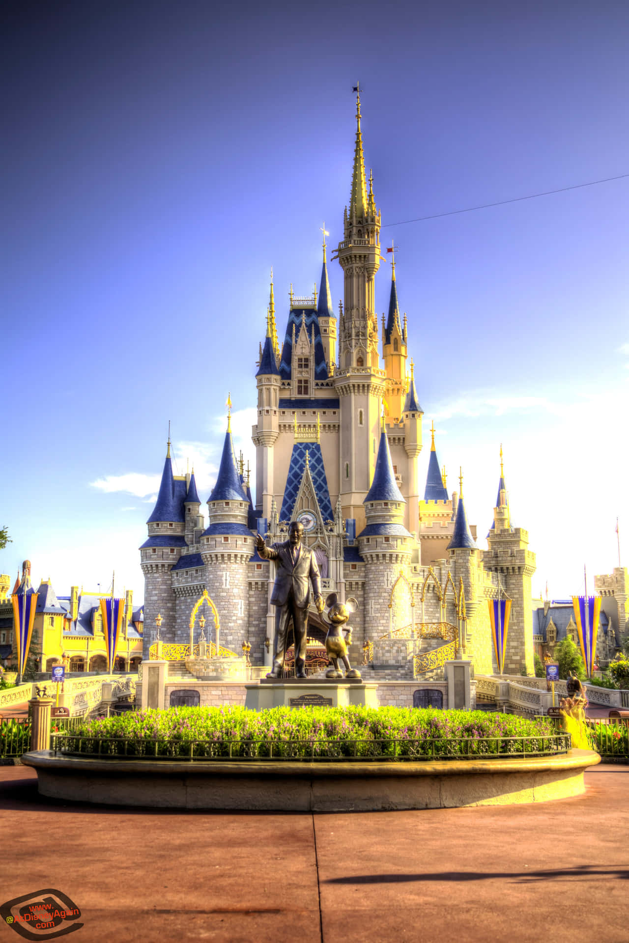 Discover Adventure At Disney World!