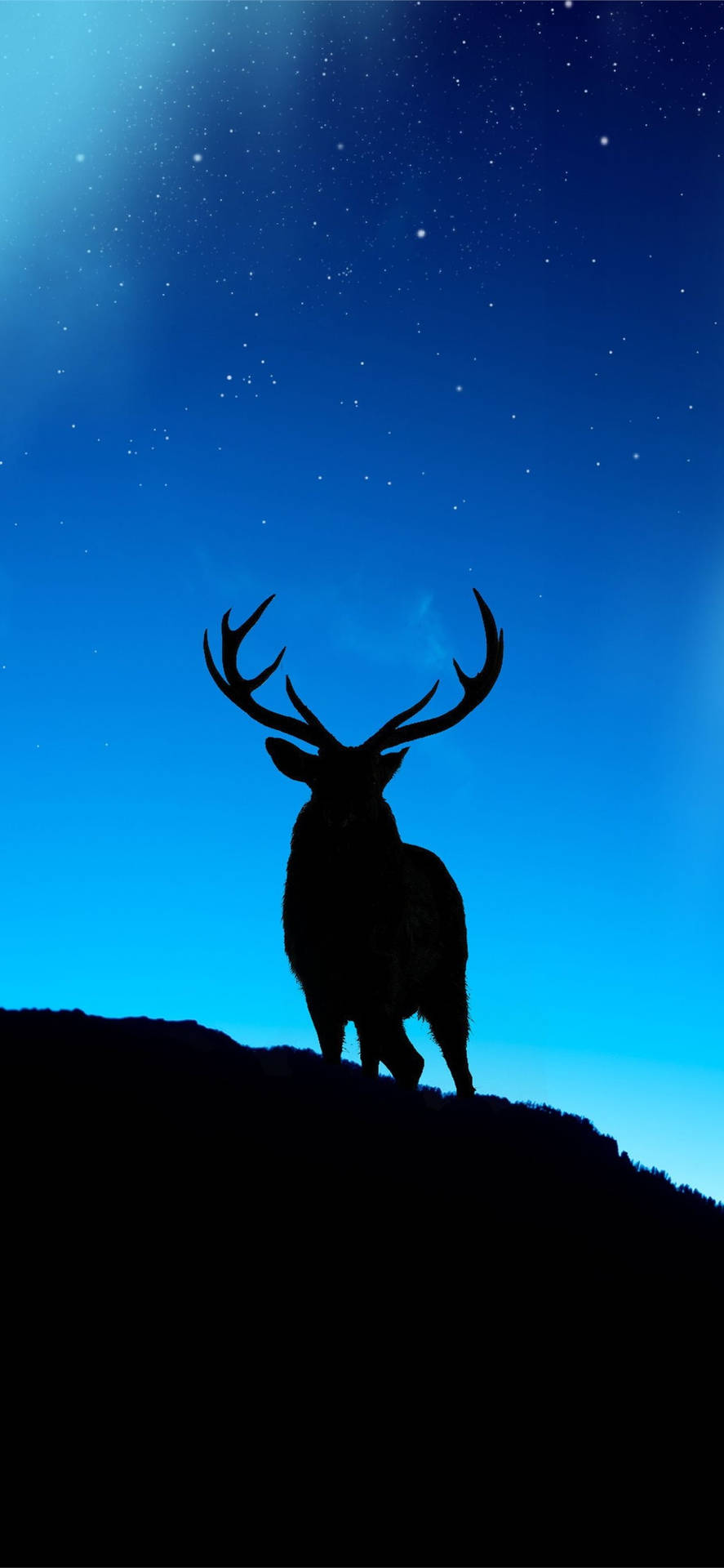 Discover Nature With Our Deer Iphone Background