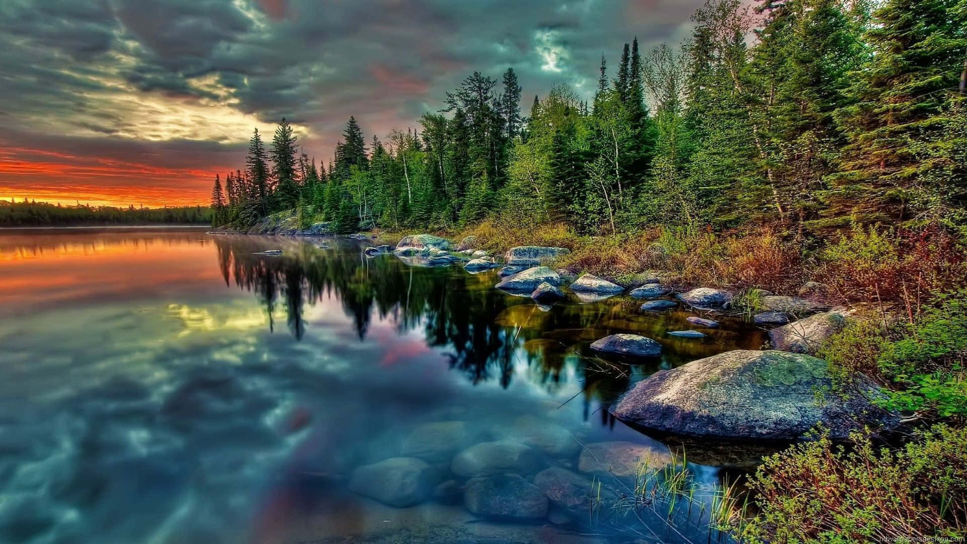 Discover Serenity With This Picturesque 1920 X 1080 Nature Desktop. Background