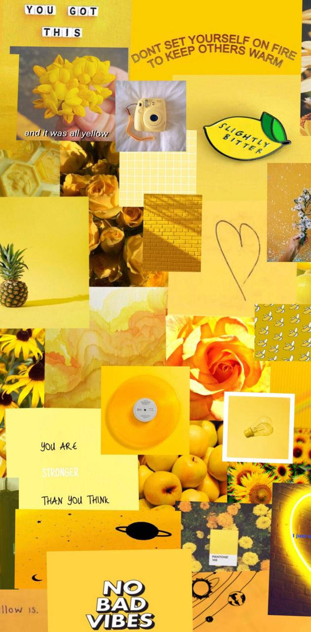Discover The Beauty Of A Cute Yellow Aesthetic