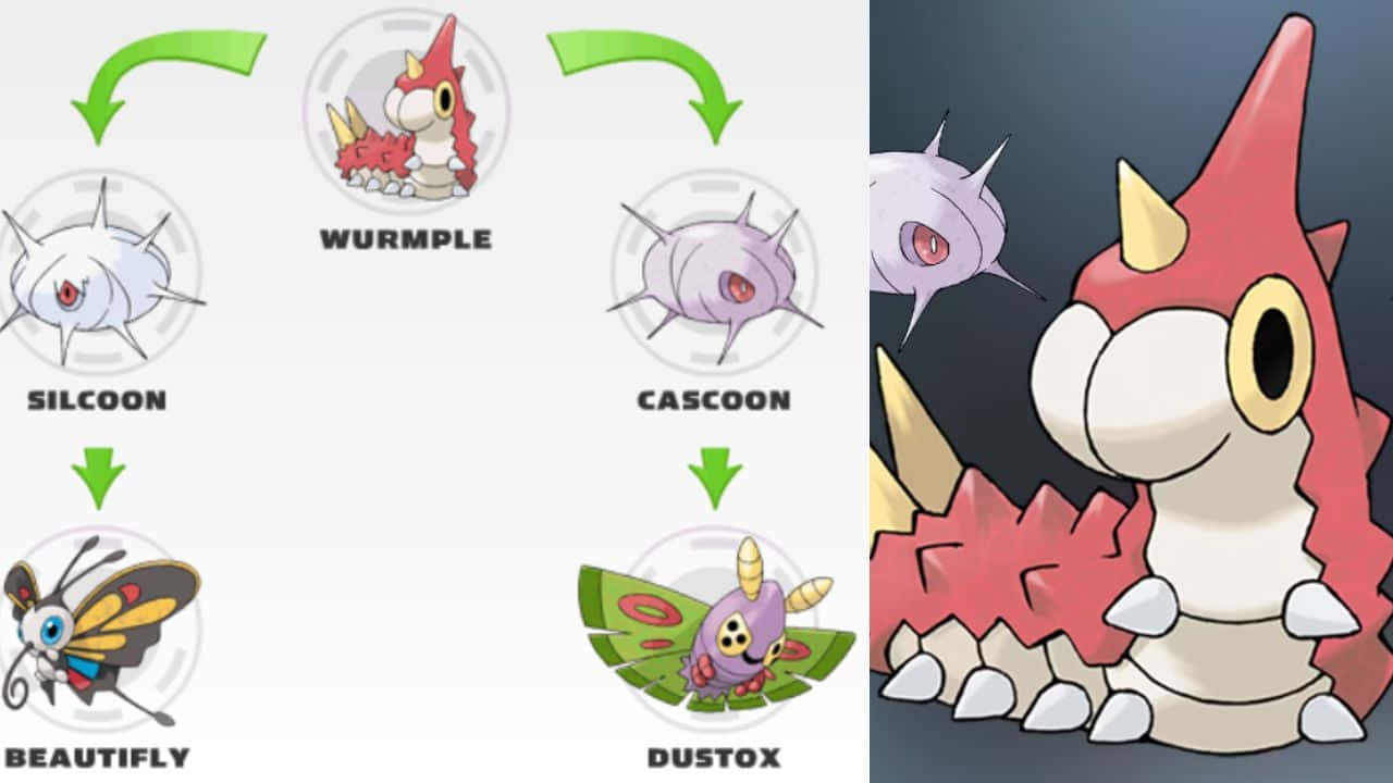 Discover The Evolution Possibilities Of Wurmple Background
