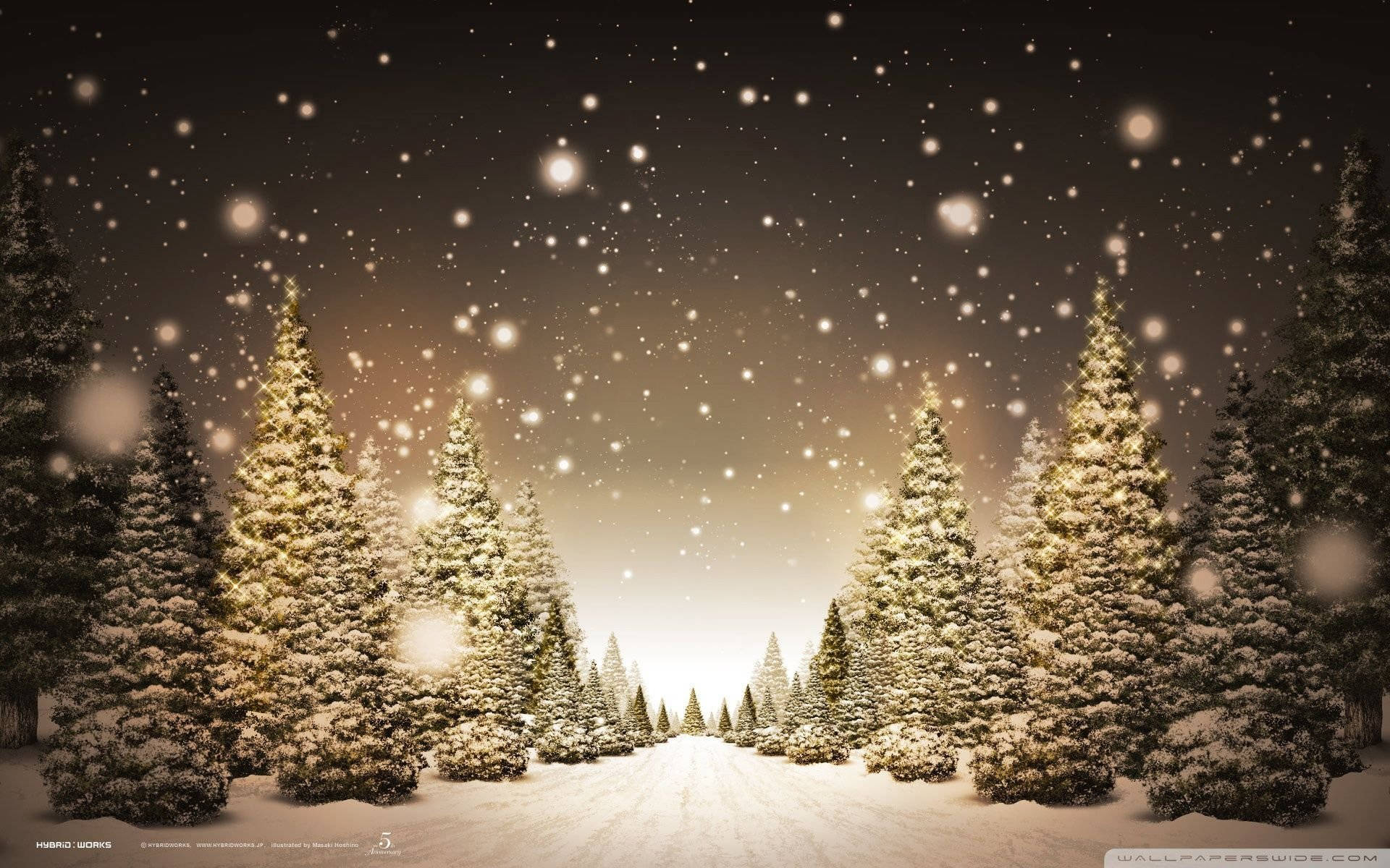 Discover The Magical Christmas Forest Background