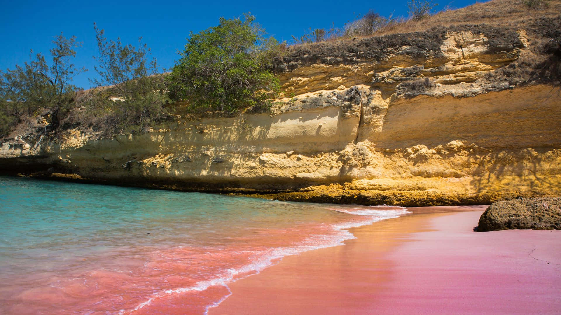 Discover The Magical Pink Beach Paradise Background