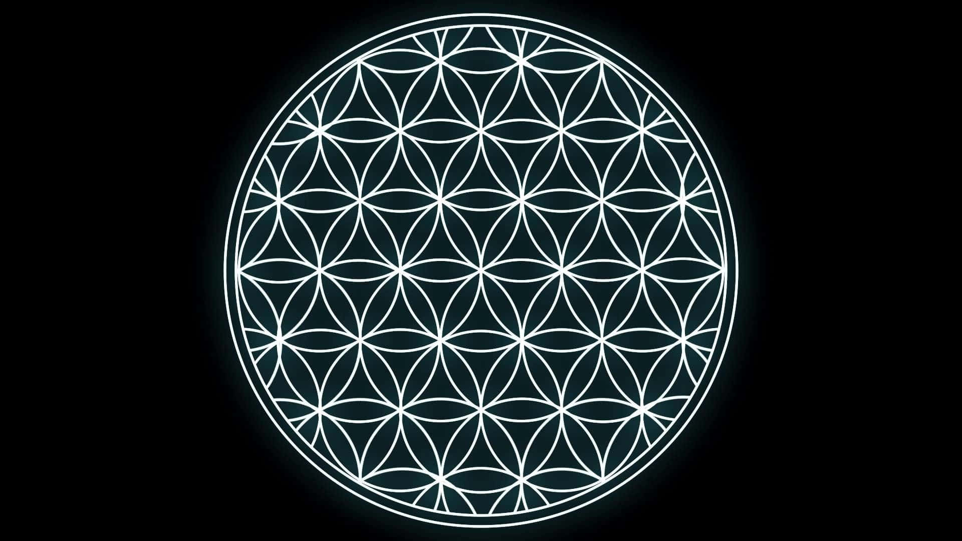 Discover The Origins Of All Things With The Sacred Symbol Of The Flower Of Life Background