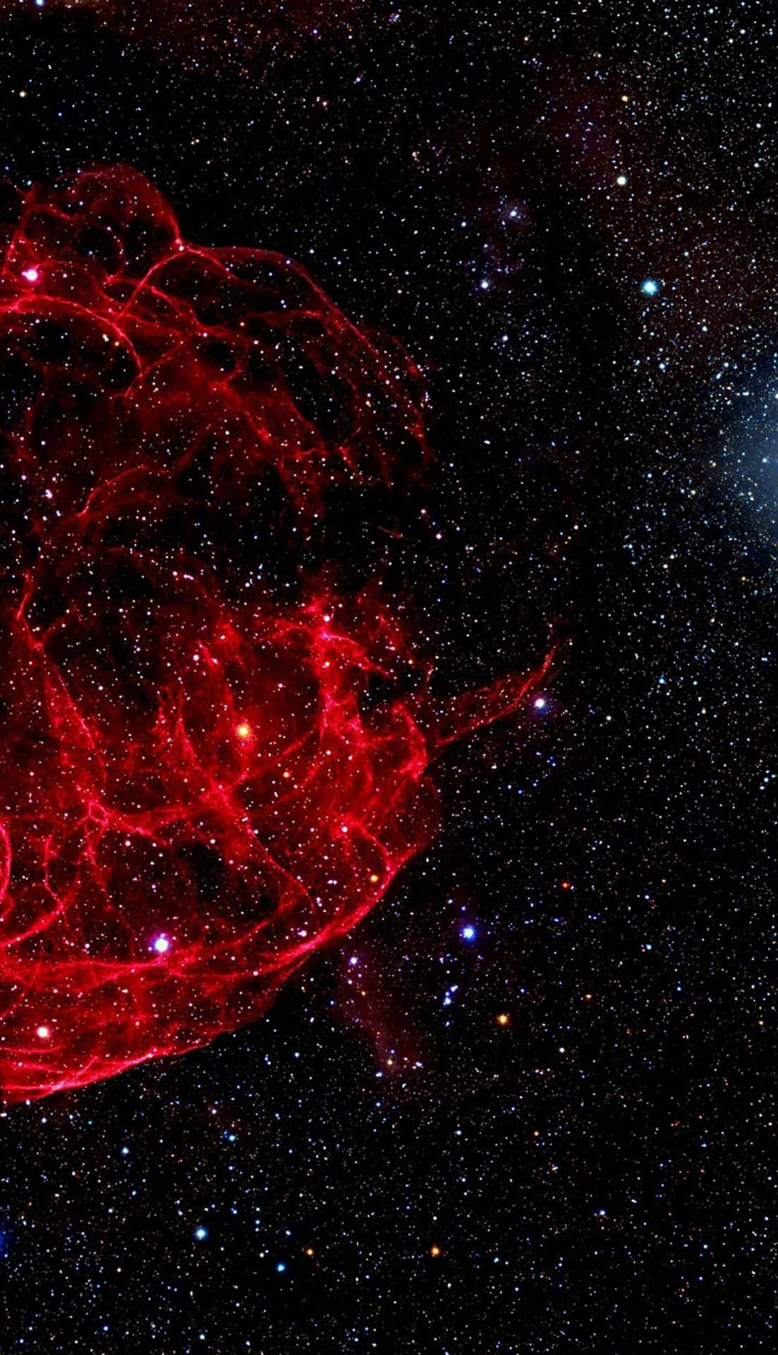 Discover The Power Of Red