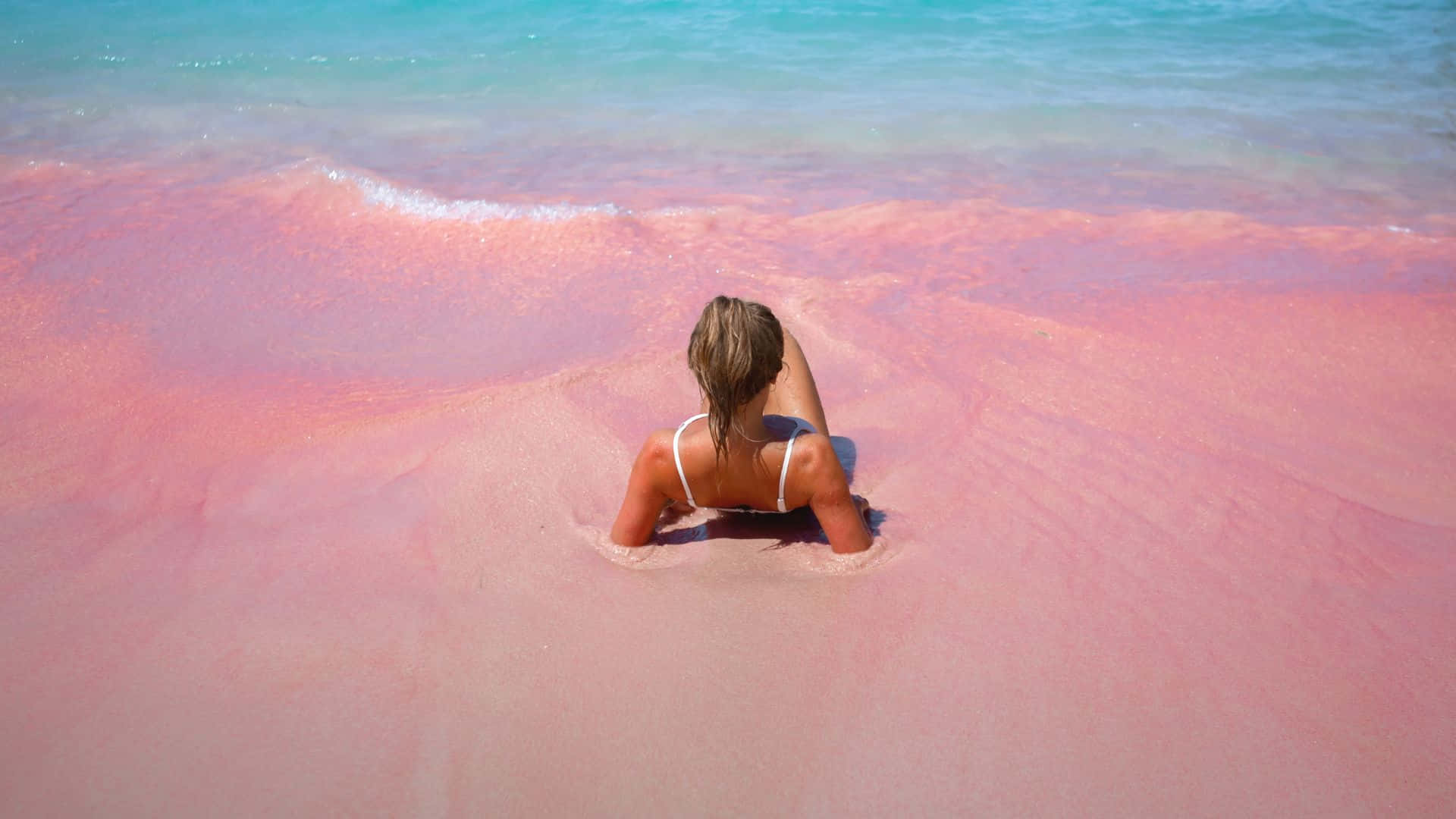 Discover The Serenity Of Pink Beaches Background