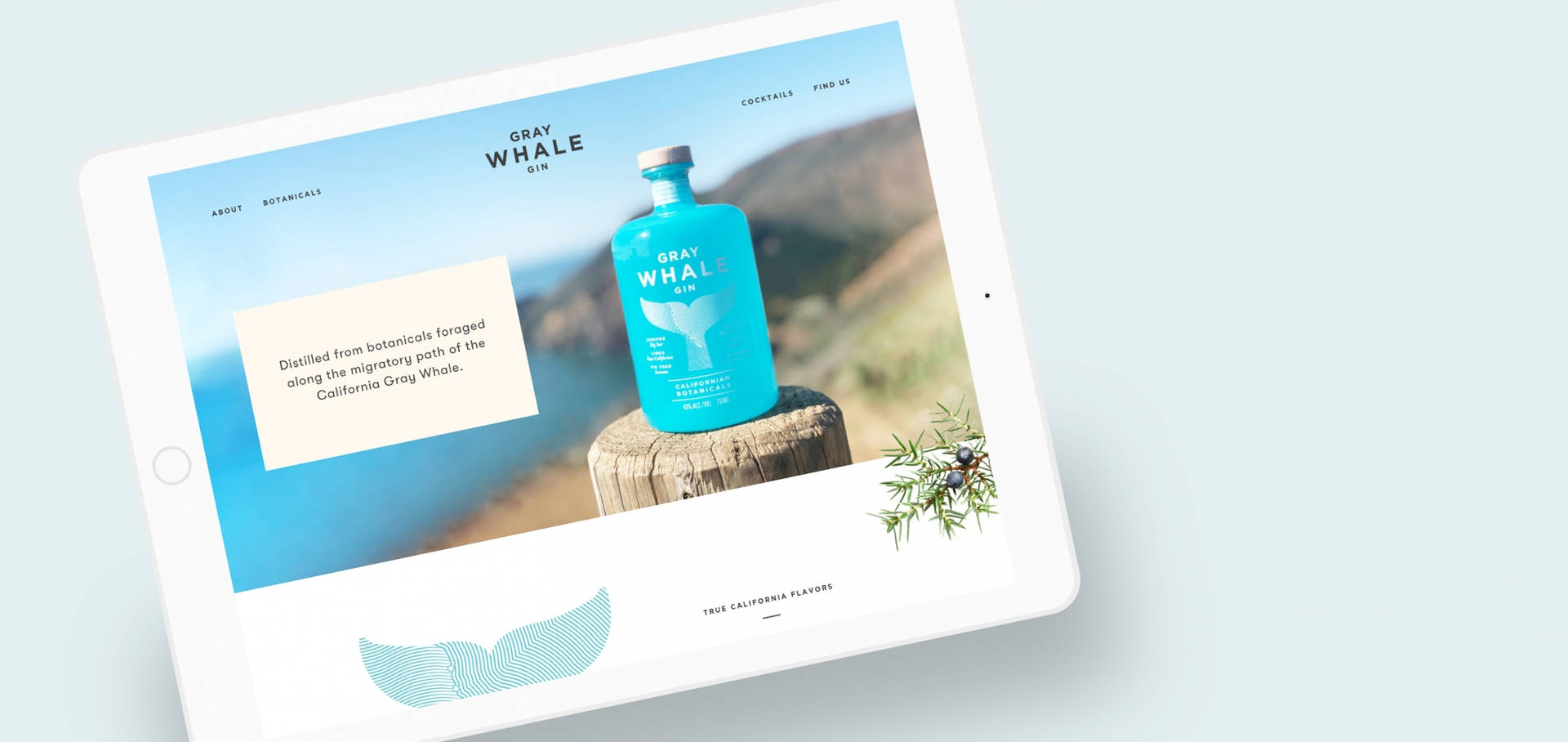 Discover The Superior Taste Of The Ocean With Succulent Gray Whale Gin Background