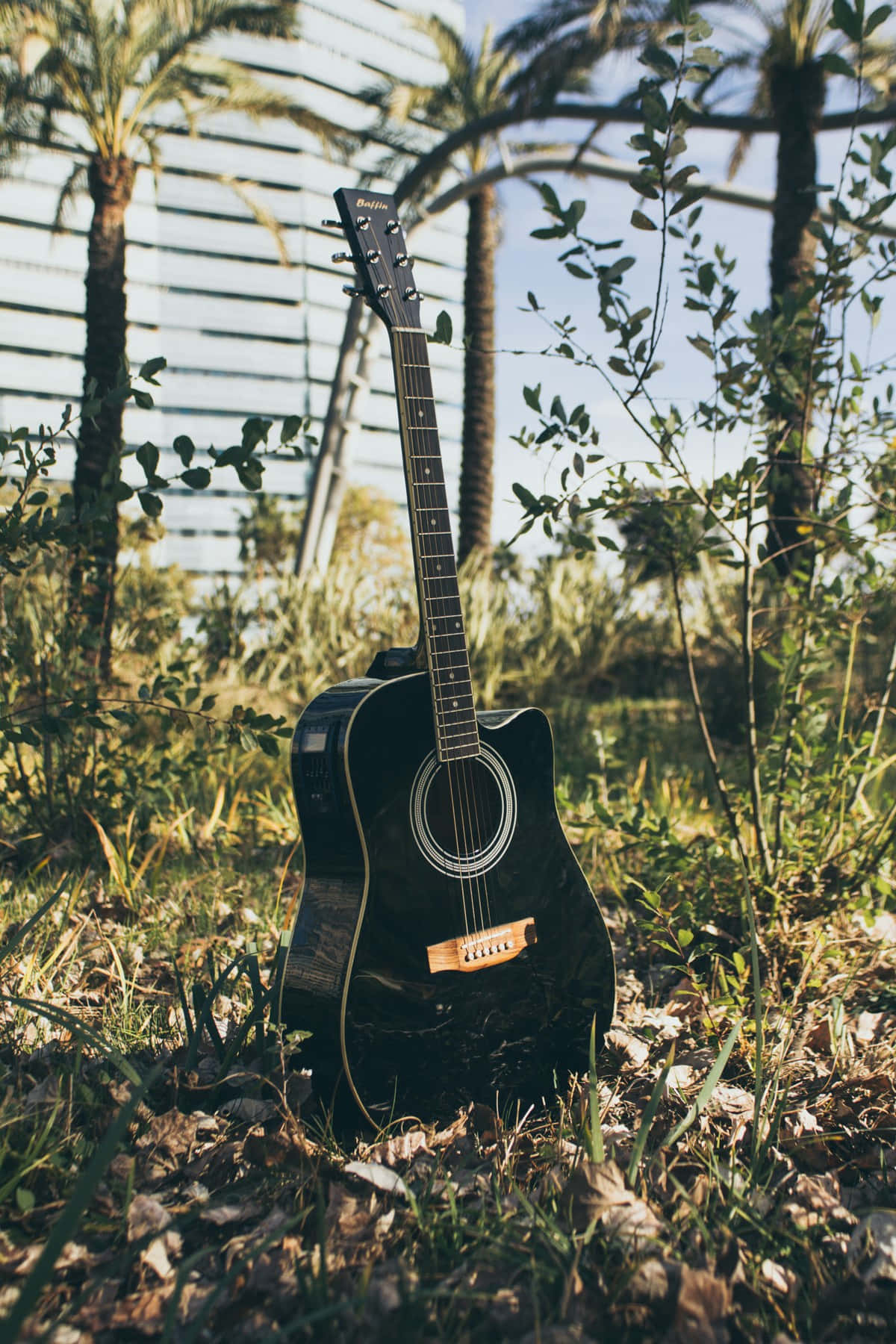 Discover Your Guitar Aesthetic Background