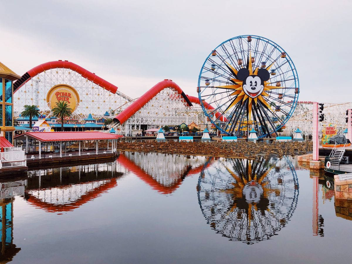 Disney And Lake View In Anaheim