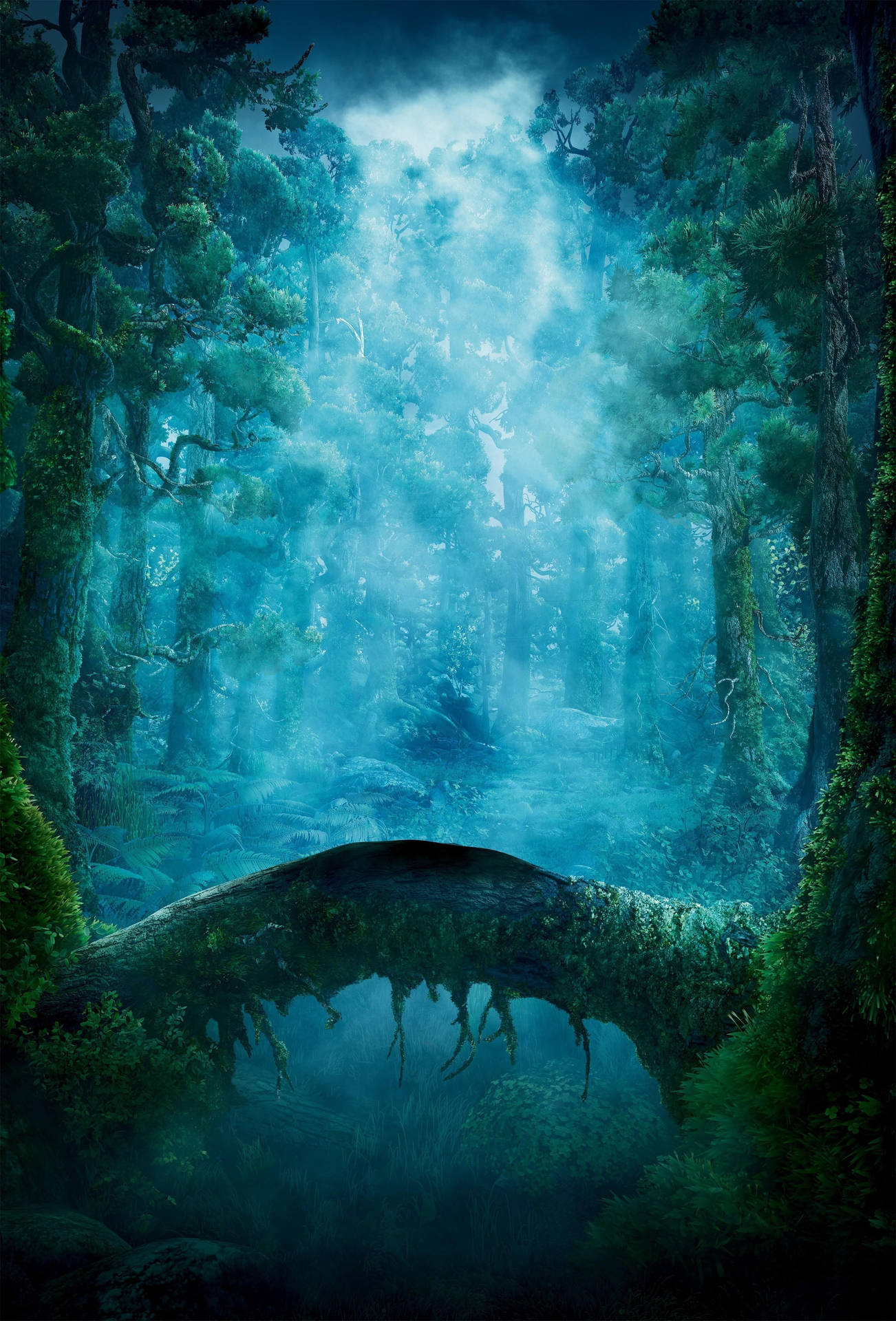 Disney Brave The Enchanting Forest Background