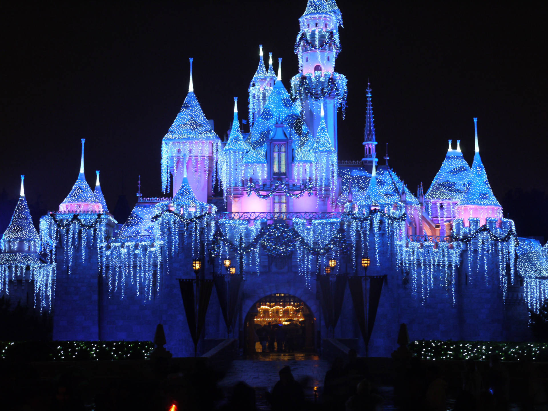 Disney Castle Christmas Lights Background