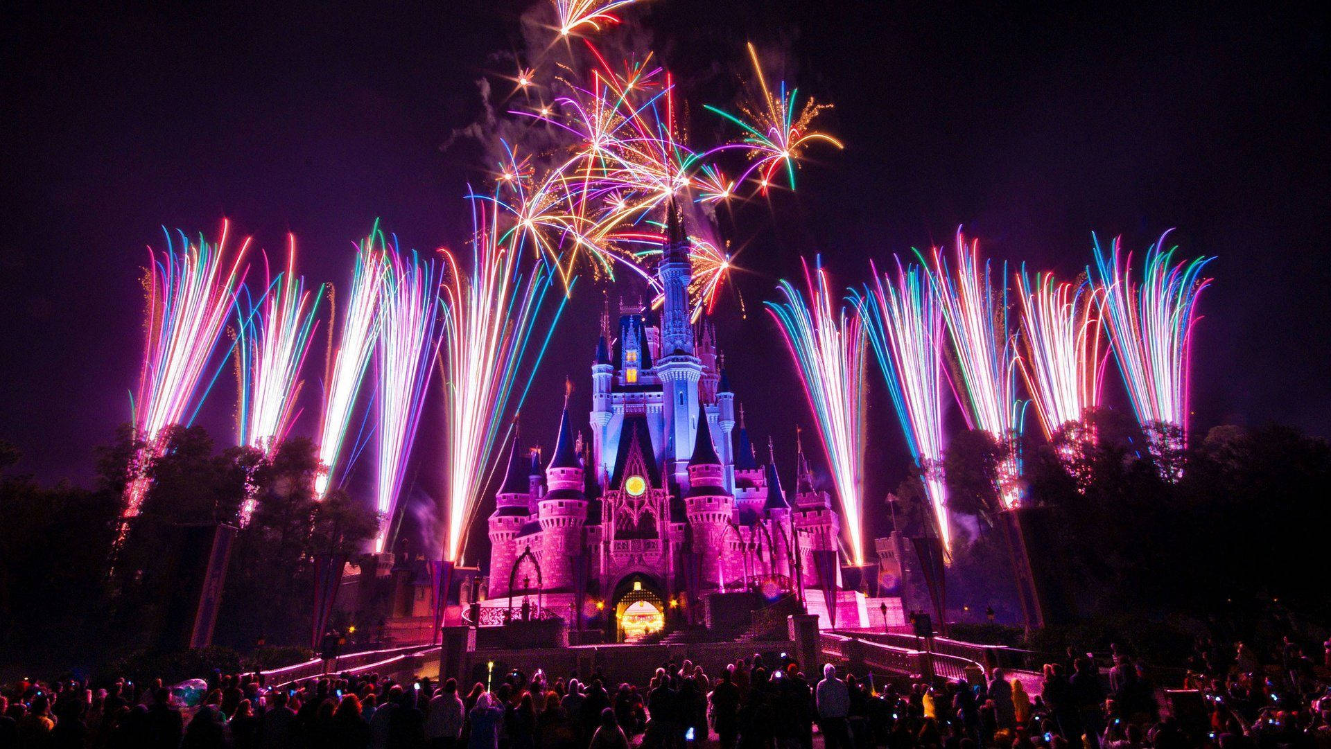 Disney Castle Fireworks