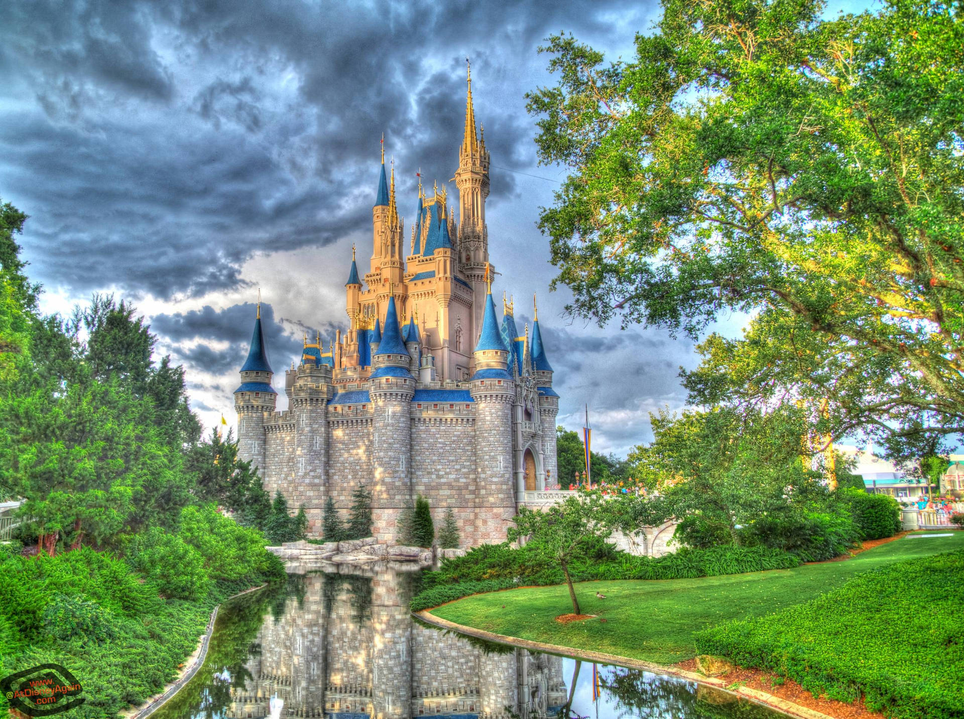 Disney Castle Forest