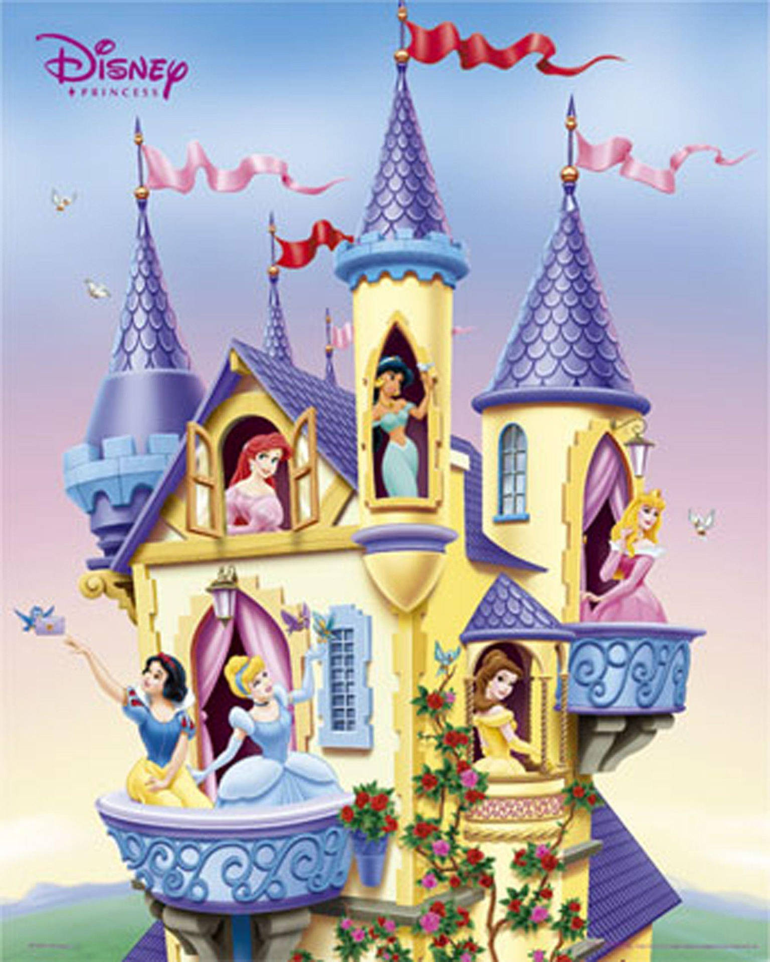 Disney Castle Princesses