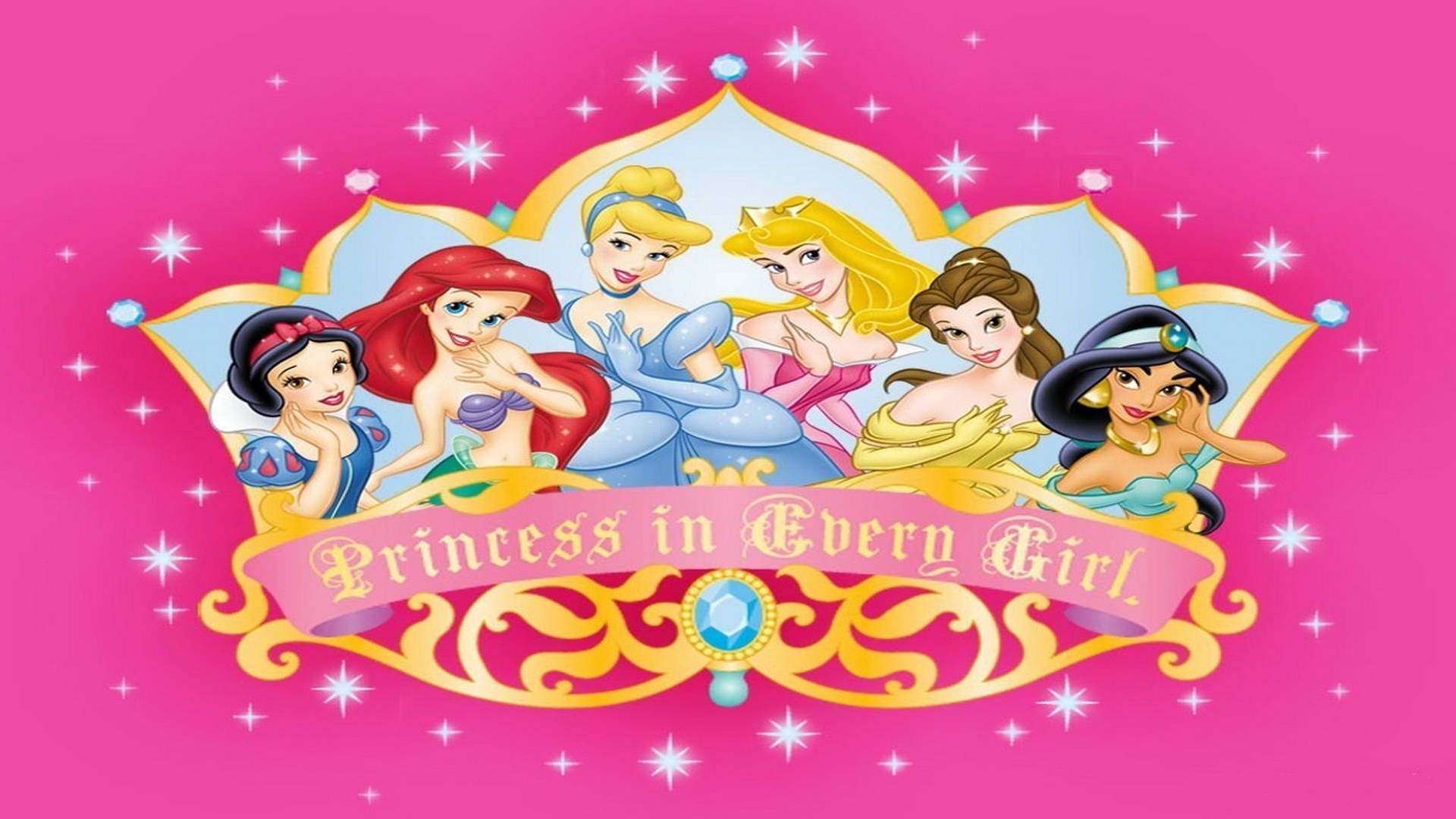 Disney Characters Princesses Pink Banner Background