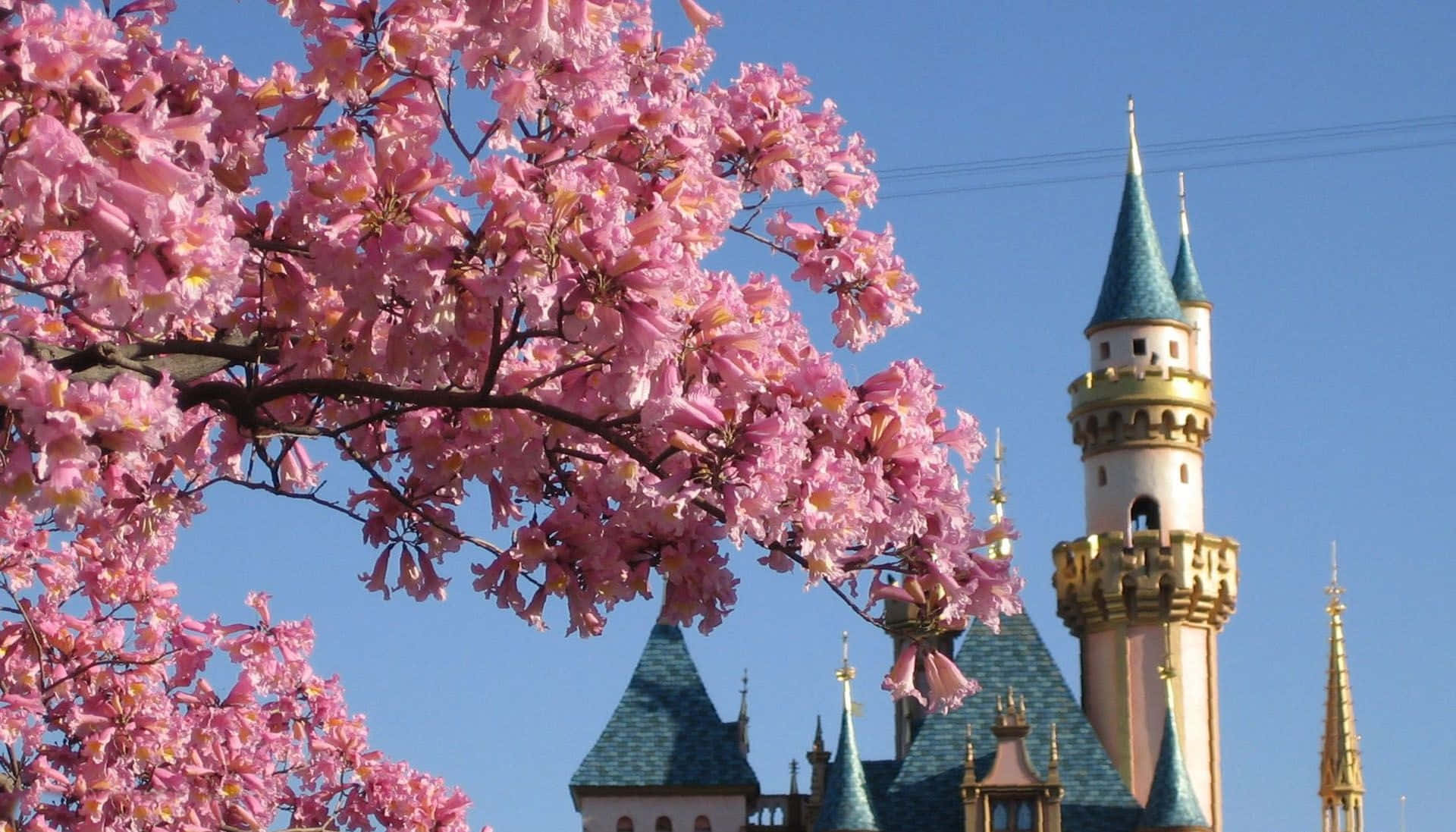 Disney Computer Sakura Tree