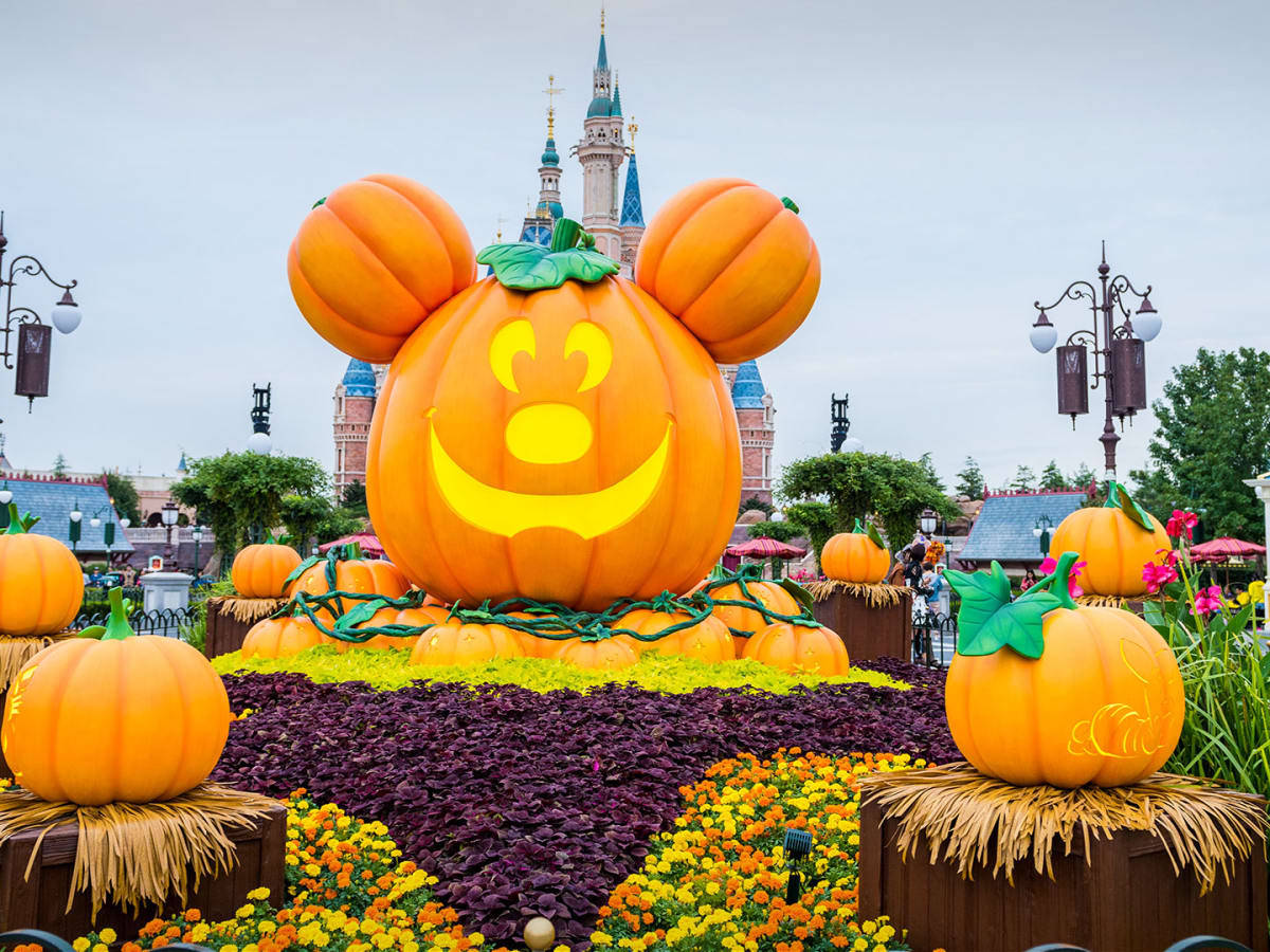 Disney Halloween Mouse Pumpkins Background