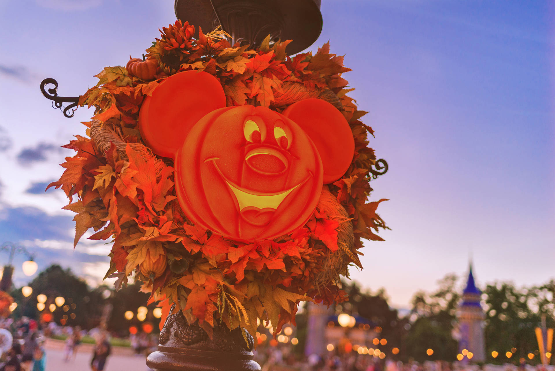 Disney Halloween Pumpkin Mickey Background