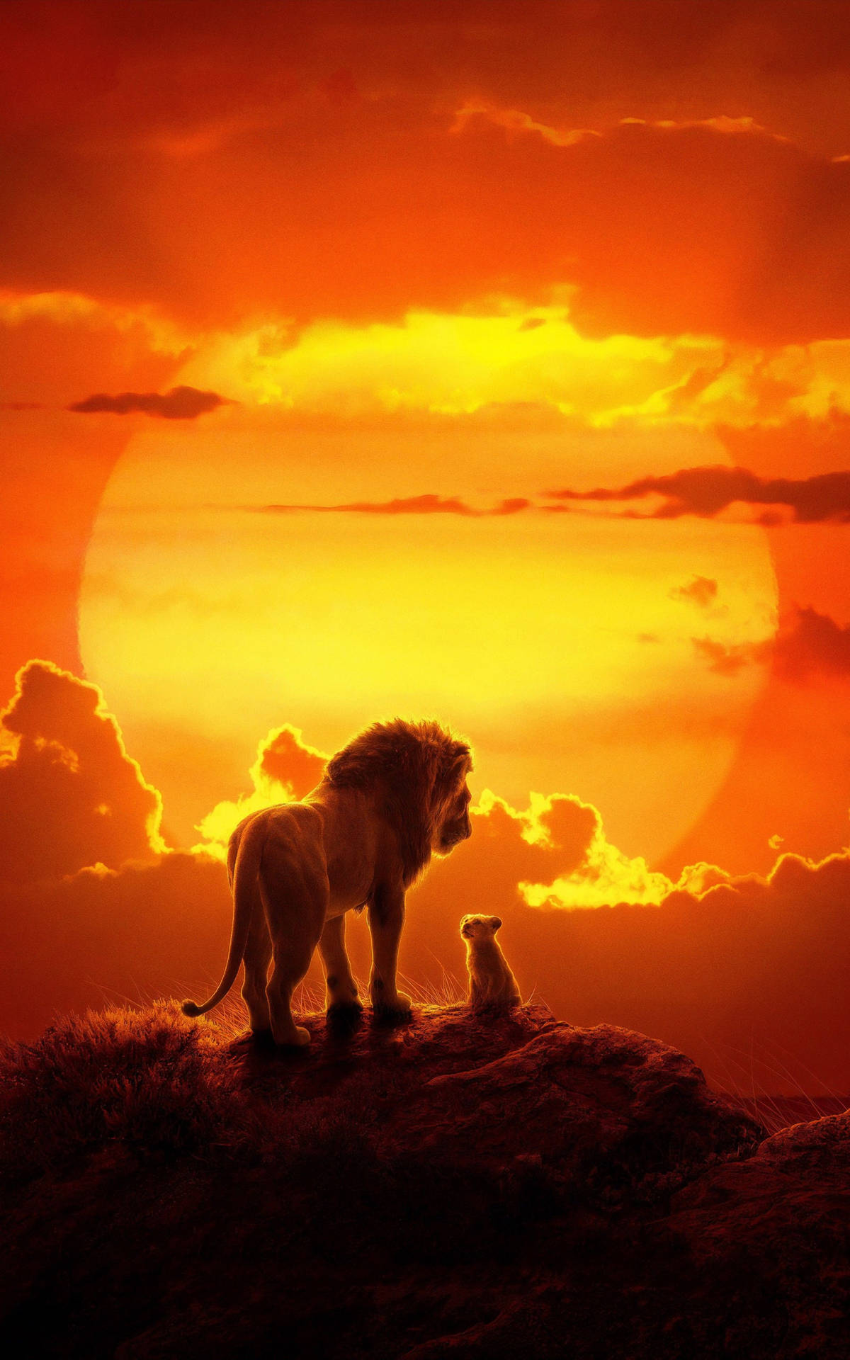 Disney Lion King Sunset Background