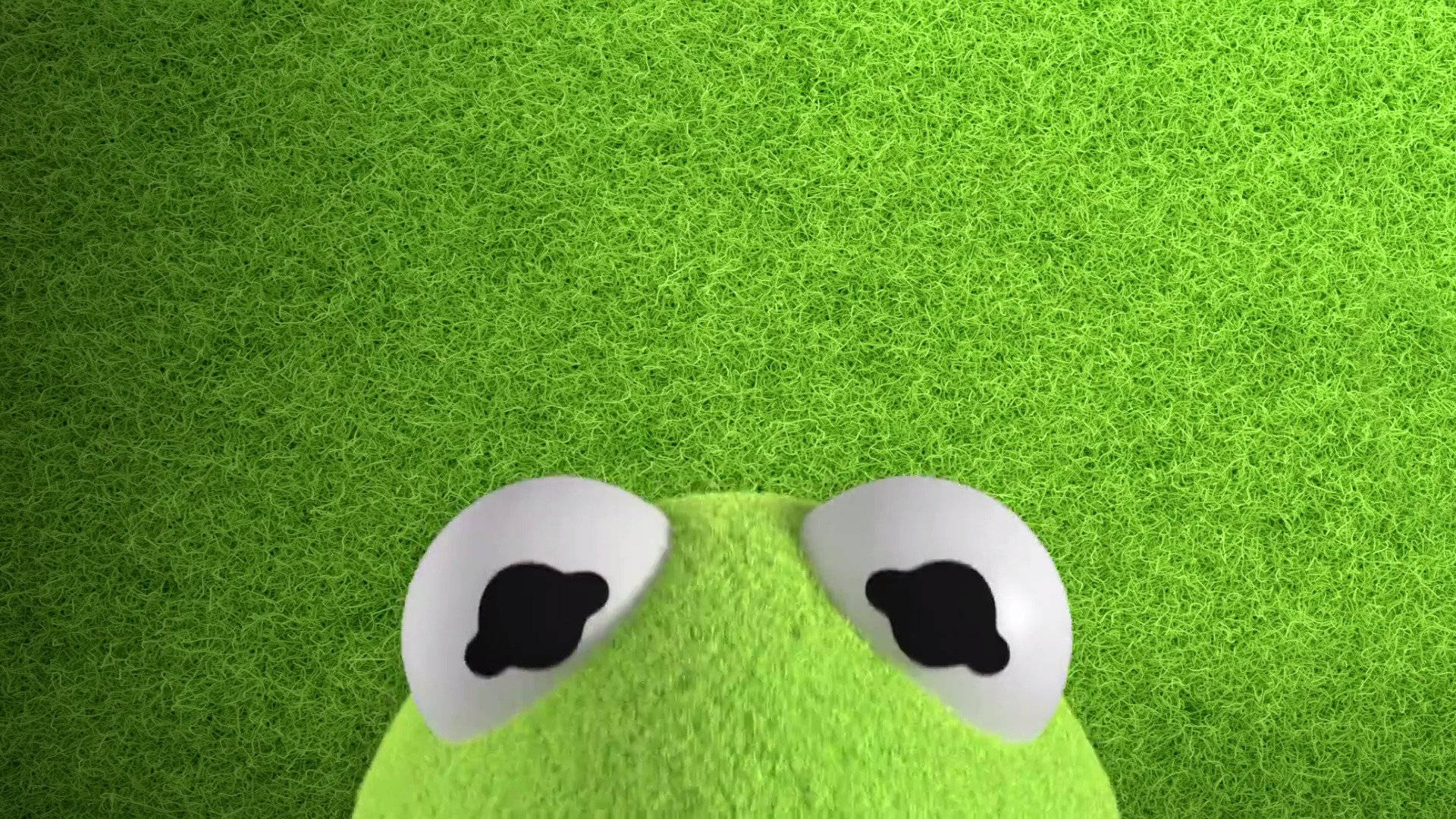 Disney Muppet Babies Half-faced Kermit