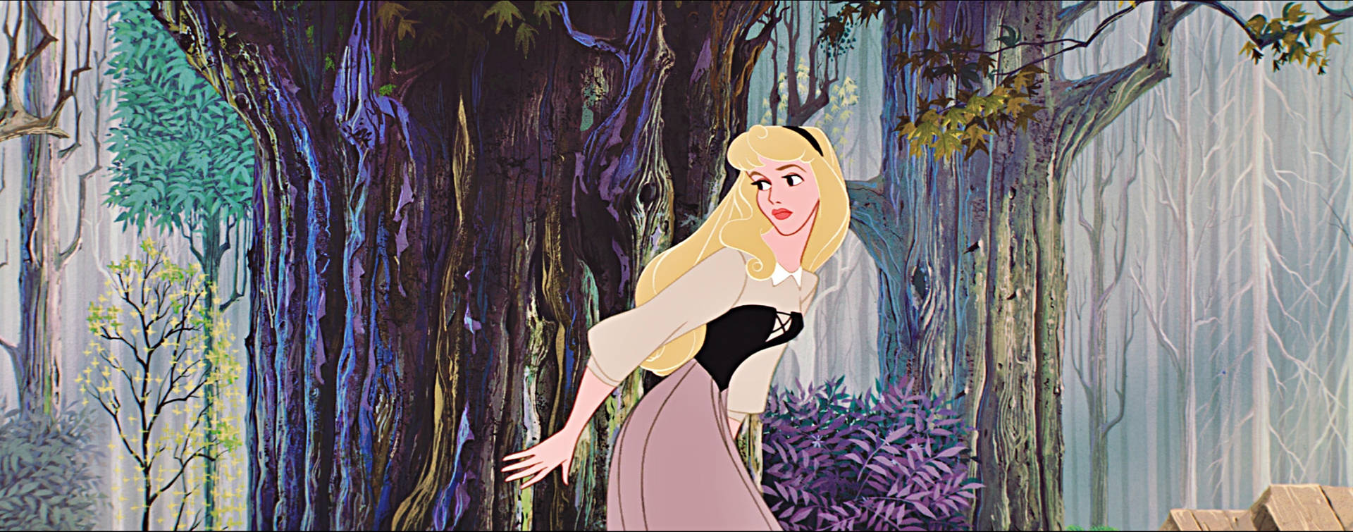 Disney Princess Aurora Hiding Background
