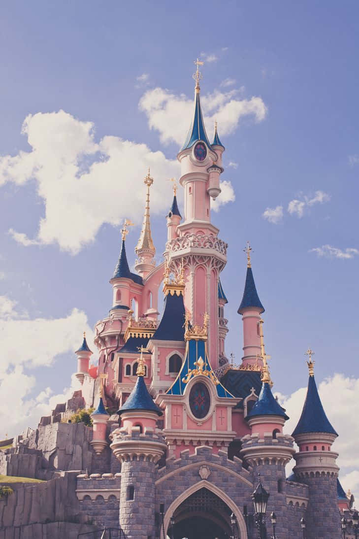 Disney Princess Castle In Disneyland Paris