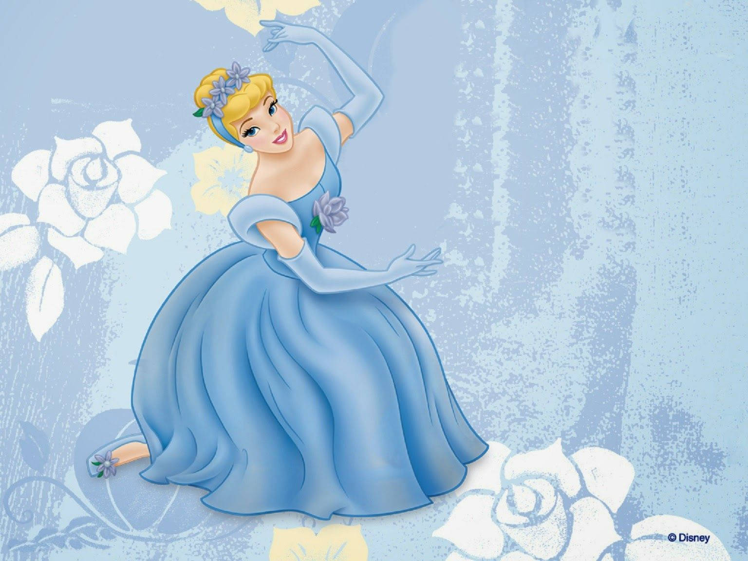 Disney Princess Charming Cinderella Background