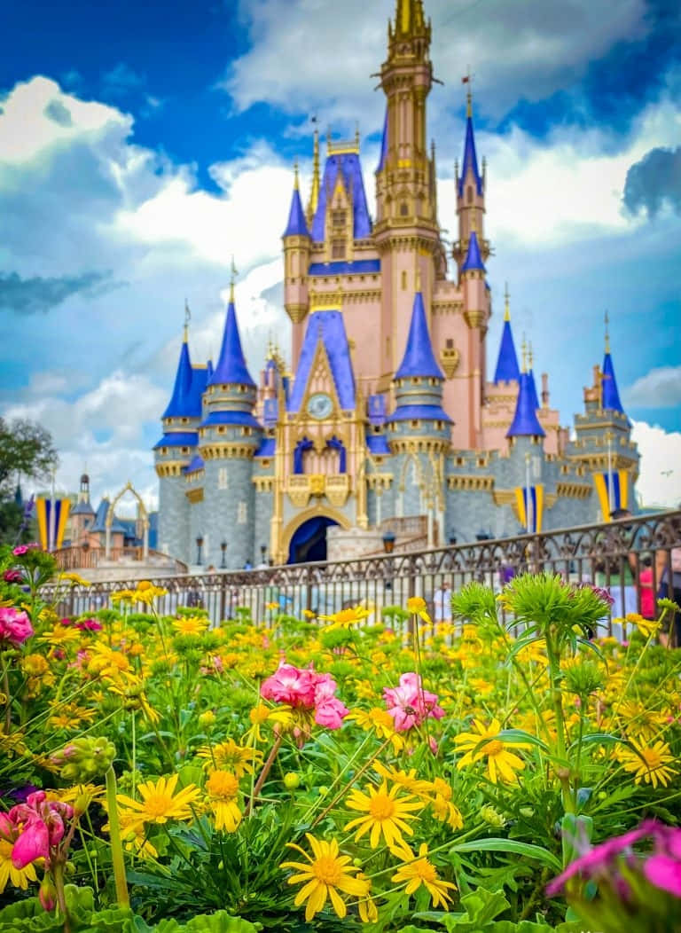 Disney World Cinderella Castle Flowers Portrait Iphone Background