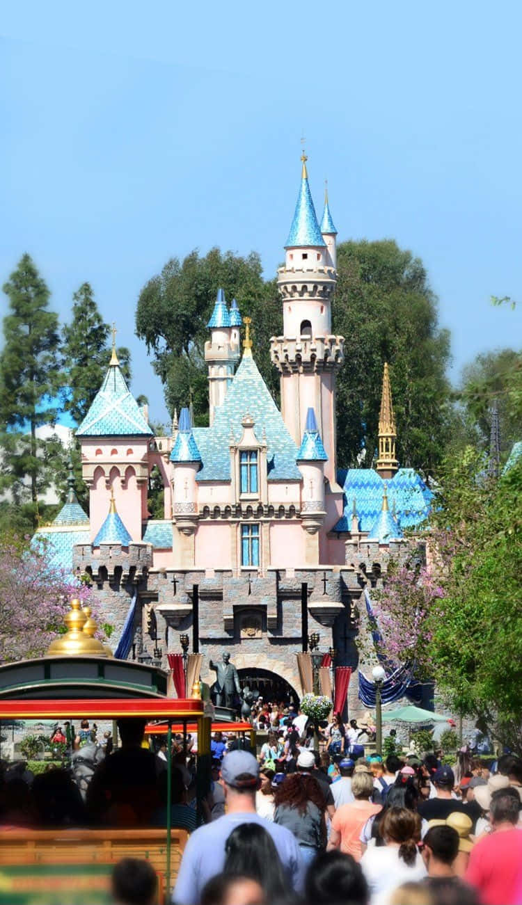 Disney World Tourists Crowd Iphone