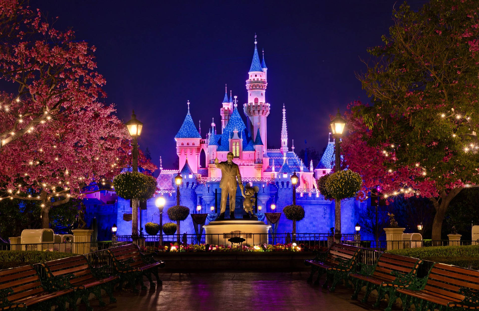 Disneyland Castle Cherry Blossom Background